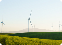 Environmental Responsibility