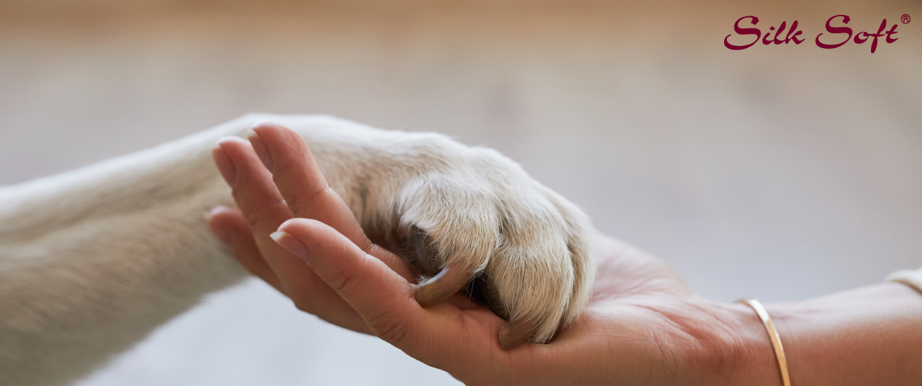 Essential Pet Care Products Every Pet Parent Must Have Silk Soft