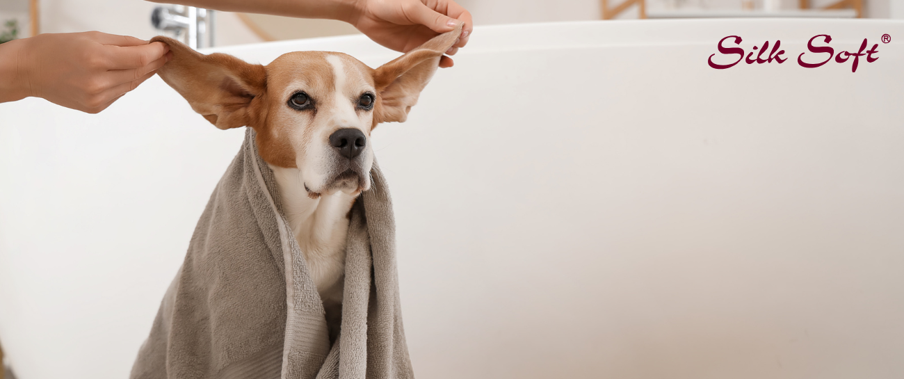 Best Pet Products to Keep Your Furry Friends Happy & Healthy Silk Soft