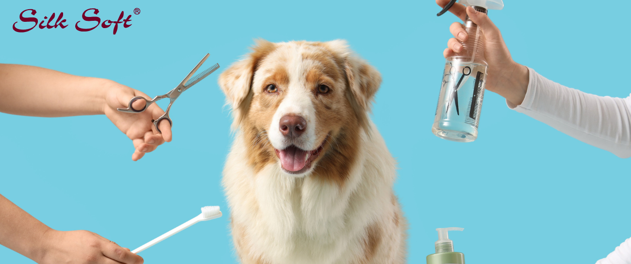 Top Products for Pets That Make Care Easy & Fun Silk Soft