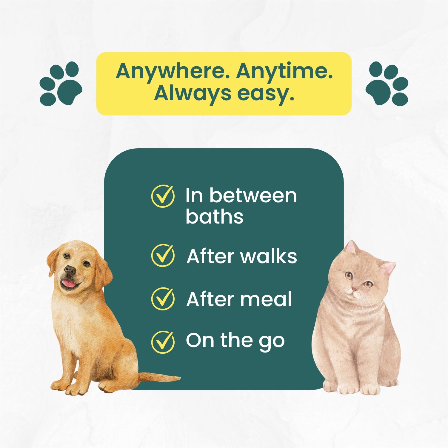 Pet Wipes Silk Soft